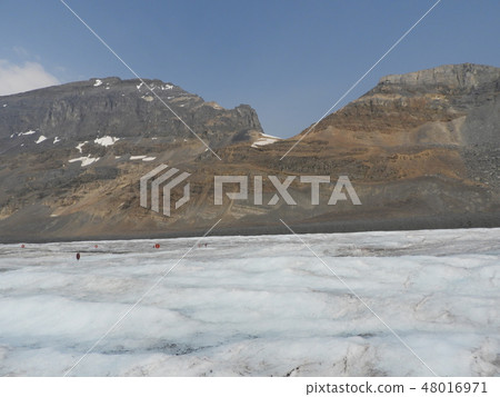 哥倫比亞大冰原的風景 哥倫比亞大冰原的風景 48016971