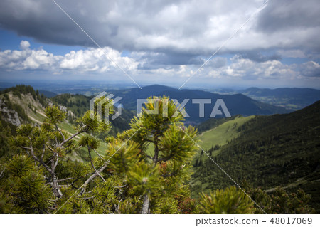 Mountain panorama view of Brecherspitze, Bavaria 48017069