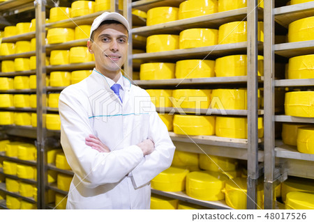 man stands on the background of racks of cheese at the dairy plant man stands on the background of racks of cheese at the dairy plant 48017526