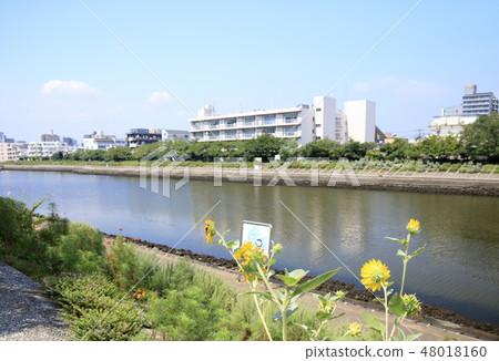 Tachikawa Tachikawa 48018160