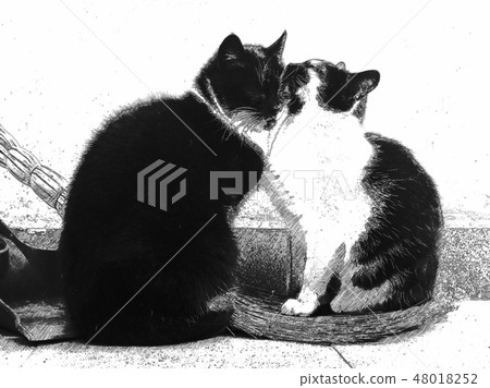 Loving couple of street cats hugging 48018252