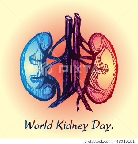 World Kidney Day. World Kidney Day. 48019191