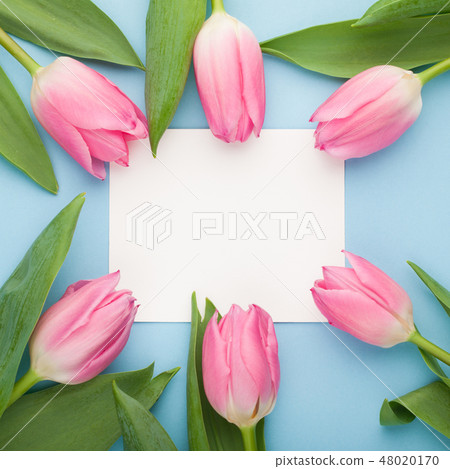 Birthday or wedding mockup with tulip. Birthday or wedding mockup with tulip. 48020170