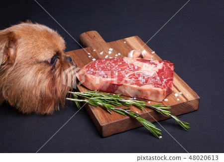 hungry dog tries to steal a piece of marble meat. hungry dog tries to steal a piece of marble meat. 48020613