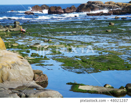 基隆和平島象鼻岩 48021287
