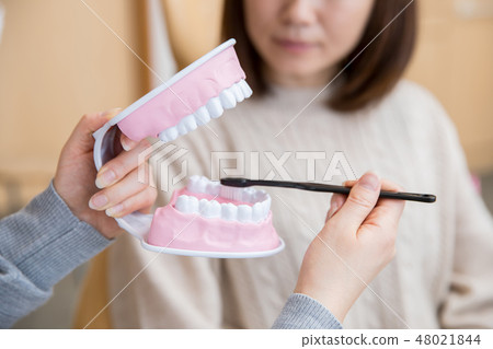 Teeth brushing teeth (back teeth) Teeth brushing teeth (back teeth) 48021844