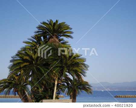 冬季熱帶地區 48021920