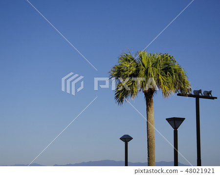 熱帶的天空 48021921