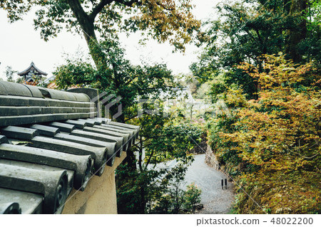 little path walk in forest beside nijo jo 48022200
