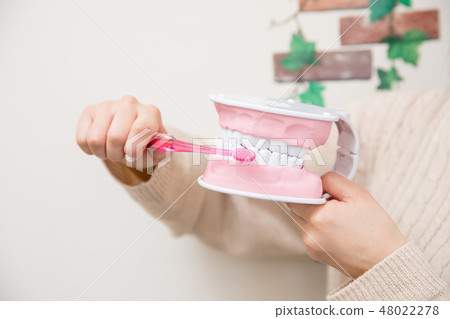 磨練牙齒模型的婦女 48022278