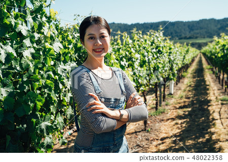 Young female winemaker in vineyard Young female winemaker in vineyard 48022358