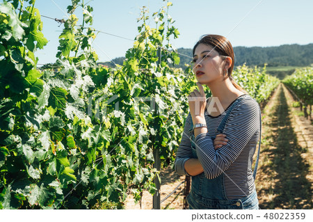 host farmer of the grape winery concentrated host farmer of the grape winery concentrated 48022359