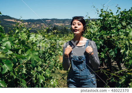young student in overalls visit in vineyard young student in overalls visit in vineyard 48022370