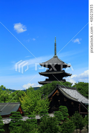 京都Toji 京都Toji 48023935