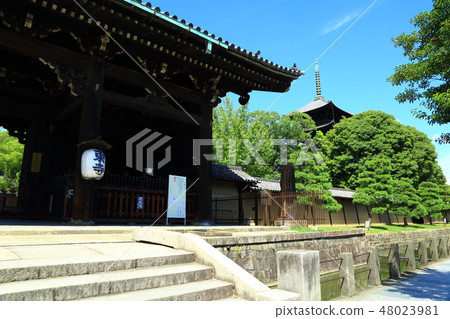 Kyoto City Toji Temple 48023981