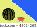 watermelon   48024265