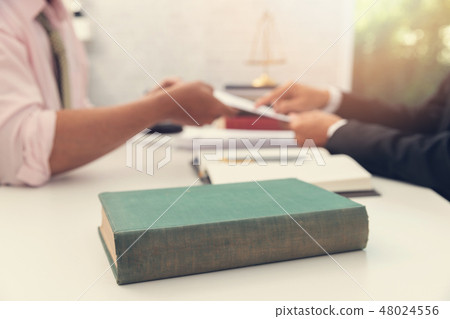 Lawyer and businessman working Lawyer and businessman working 48024556