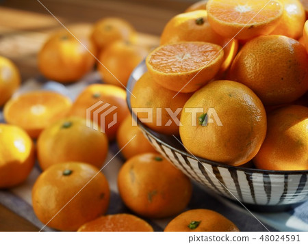 Korean Fruits Jeju Citrus Korean Fruits Jeju Citrus 48024591