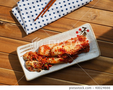 Korean food oyster 48024666