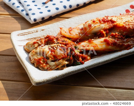 Korean food oyster 48024669