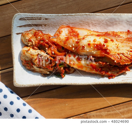 Korean food oyster 48024690