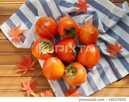 韓國的果實成熟的柿子,紅絲 韓國的果實成熟的柿子,紅絲 48024936