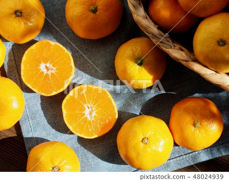 Korea's fruit ripe persimmon, Hongsi Korea's fruit ripe persimmon, Hongsi 48024939
