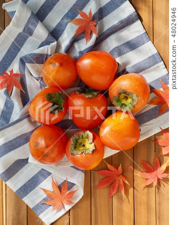 Korean Fruits Jeju Citrus Korean Fruits Jeju Citrus 48024946