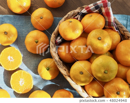 Korean Fruits Jeju Citrus Korean Fruits Jeju Citrus 48024948