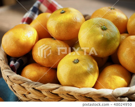 Korean Fruits Jeju Citrus Korean Fruits Jeju Citrus 48024950