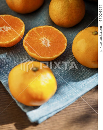 Korean Fruits Jeju Citrus Korean Fruits Jeju Citrus 48024953