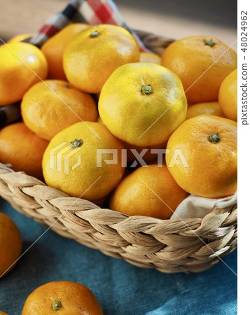 Korean Fruits Jeju Citrus 48024962
