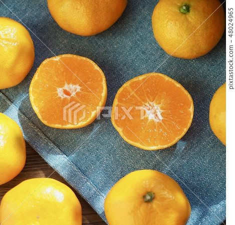 Korean Fruits Jeju Citrus Korean Fruits Jeju Citrus 48024965