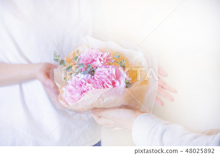 Child giving bouquet of carnation Child giving bouquet of carnation 48025892