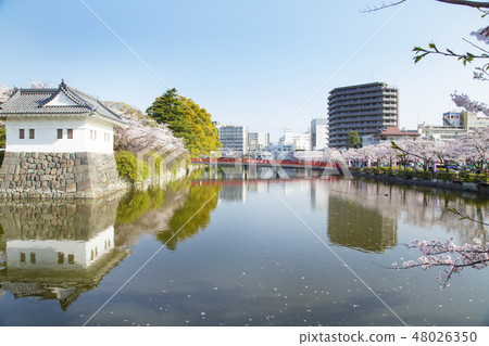 小田原城堡護城河，學校橋樑，maidian彎曲的輪子 48026350