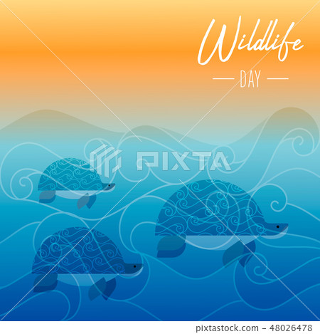 Wildlife Day card of turtles swimming underwater 48026478