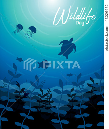 Wildlife Day card of sea animals in coral reef Wildlife Day card of sea animals in coral reef 48026482