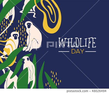 Wildlife Day jungle card with monkeys Wildlife Day jungle card with monkeys 48026494