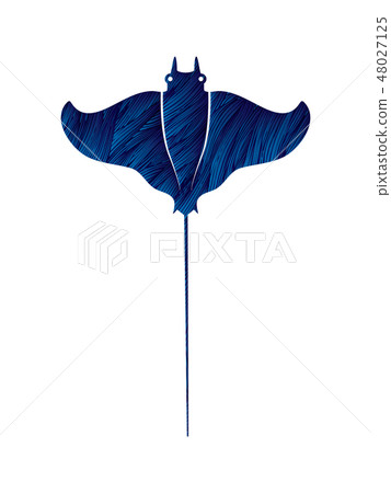 Stingray fish, Batoids fish graphic vector Stingray fish, Batoids fish graphic vector 48027125