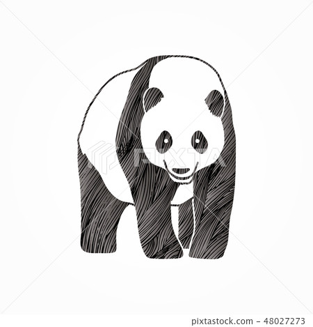 Panda standing graphic vector Panda standing graphic vector 48027273