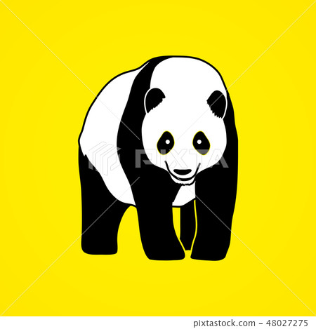 Panda standing graphic vector 48027275