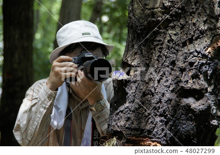 快門機會 48027299