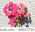 Bouquet of roses 48027750