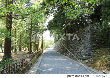 國家寶藏松江城堡 48027876