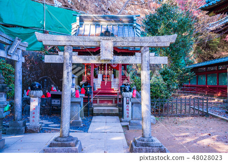 (Tokyo) The Takao Yakuin which autumn leaves turned 48028023