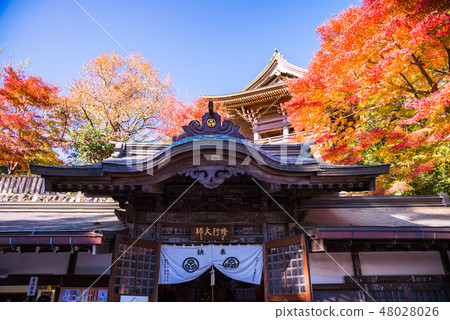 （東京）秋葉轉的高尾藥園 48028026