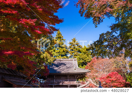 （東京）秋葉轉的高尾藥園 48028027