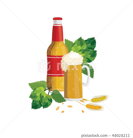Beer bottle and glass cup with green hop with leaves and cereal in cartoon style. 48028211