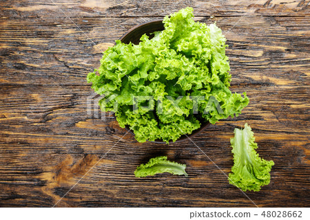 lettuce on the board lettuce on the board 48028662