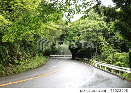 在山路001 48028998